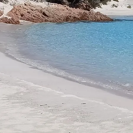 Scugnizza Smeralda Cannigione